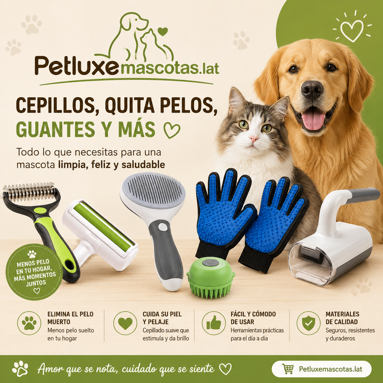 Cepillos