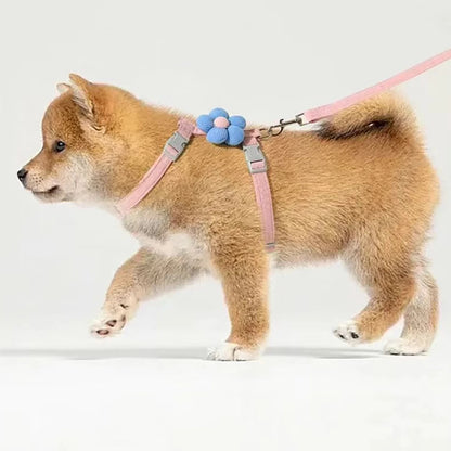 Arnés para mascotas