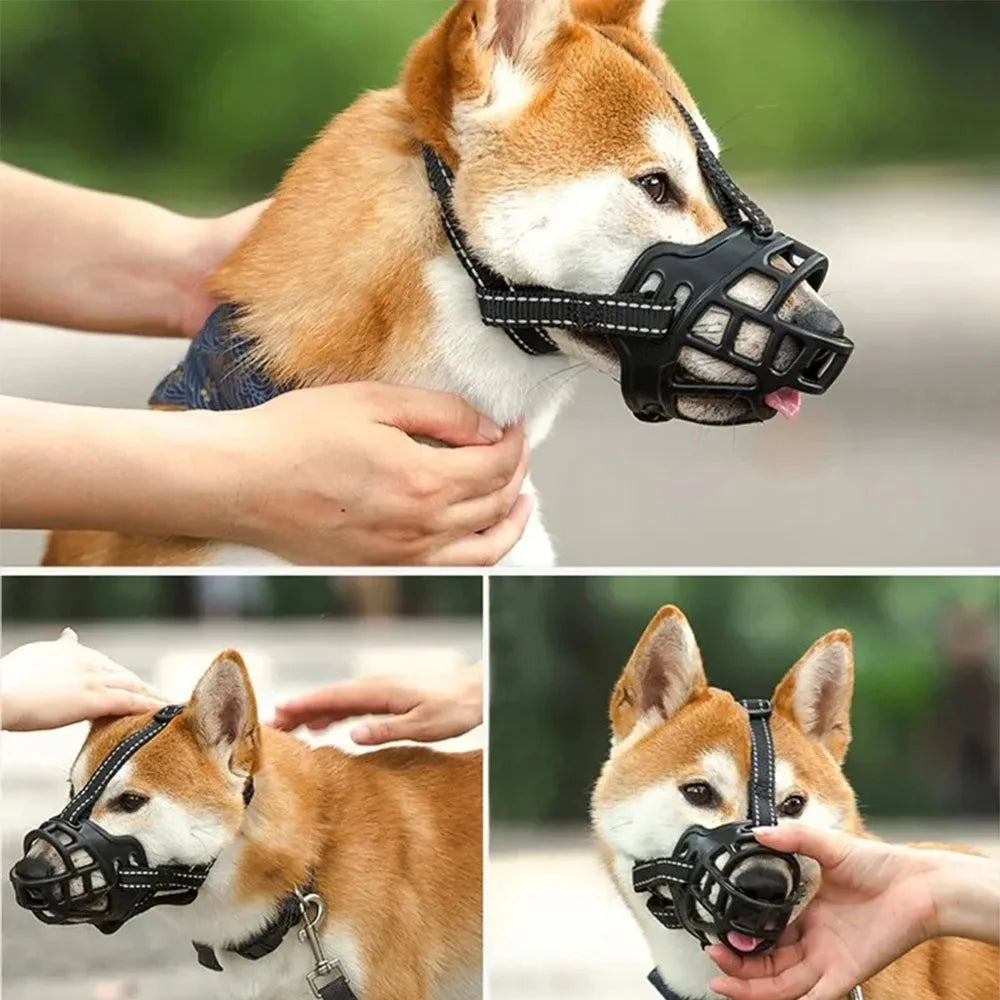 Bozal para mascota