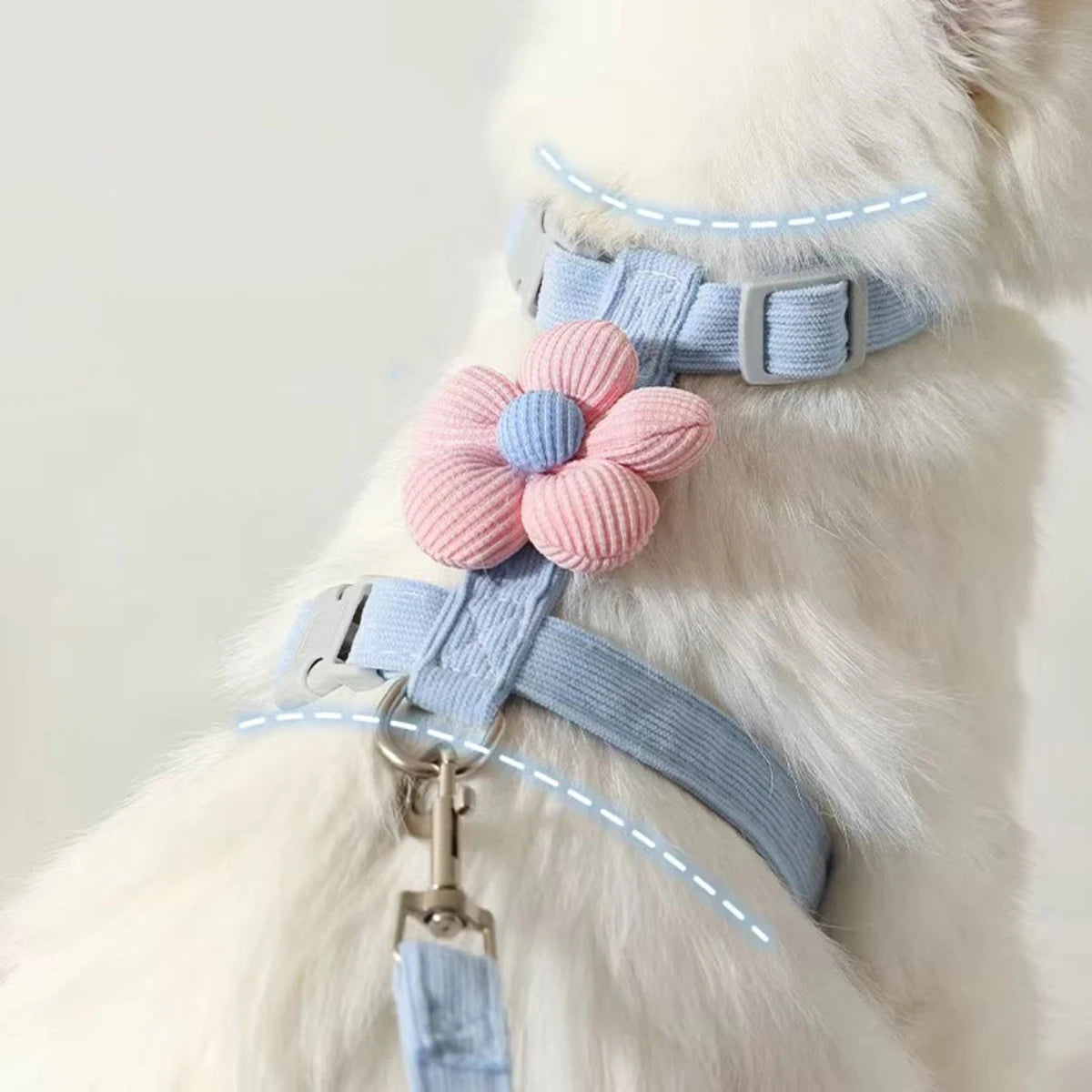 Arnés para mascotas