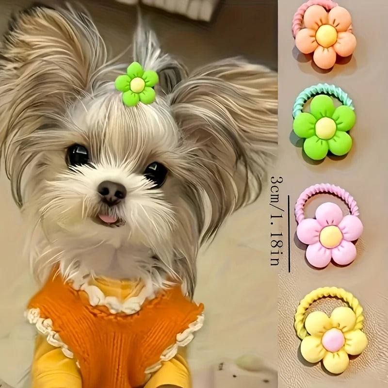 Set de accesorios premium para mascotas