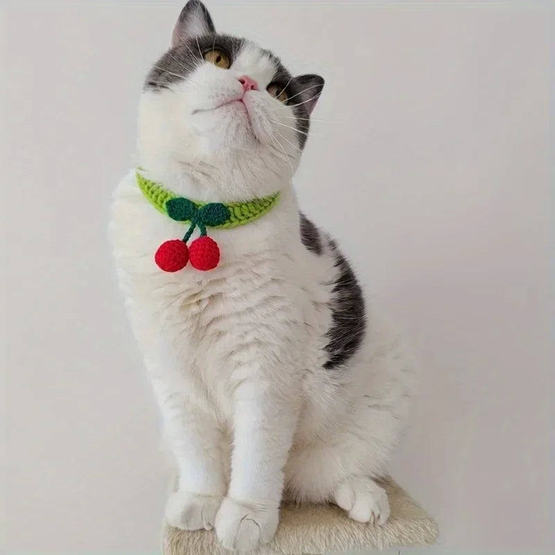 Collar artesanal para mascotas