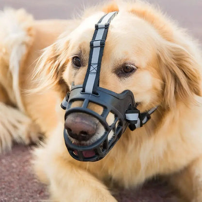 Bozal para mascota
